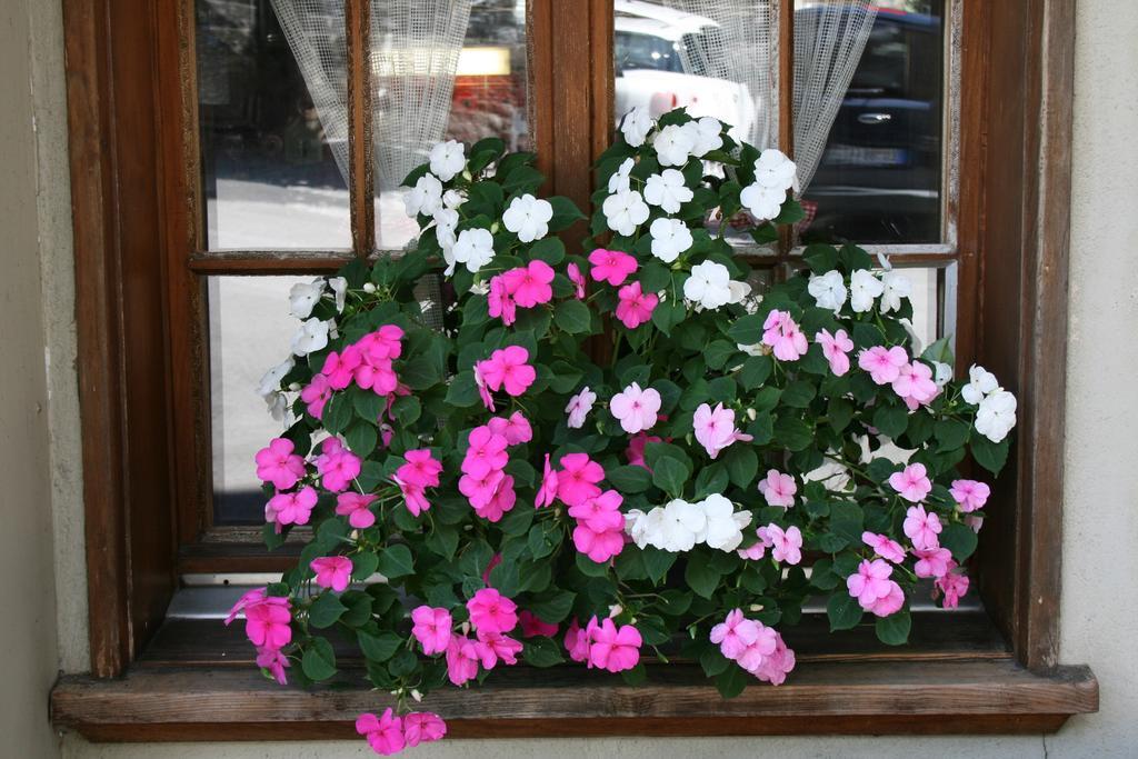 Hotel Staubbach Lauterbrunnen Eksteriør bilde